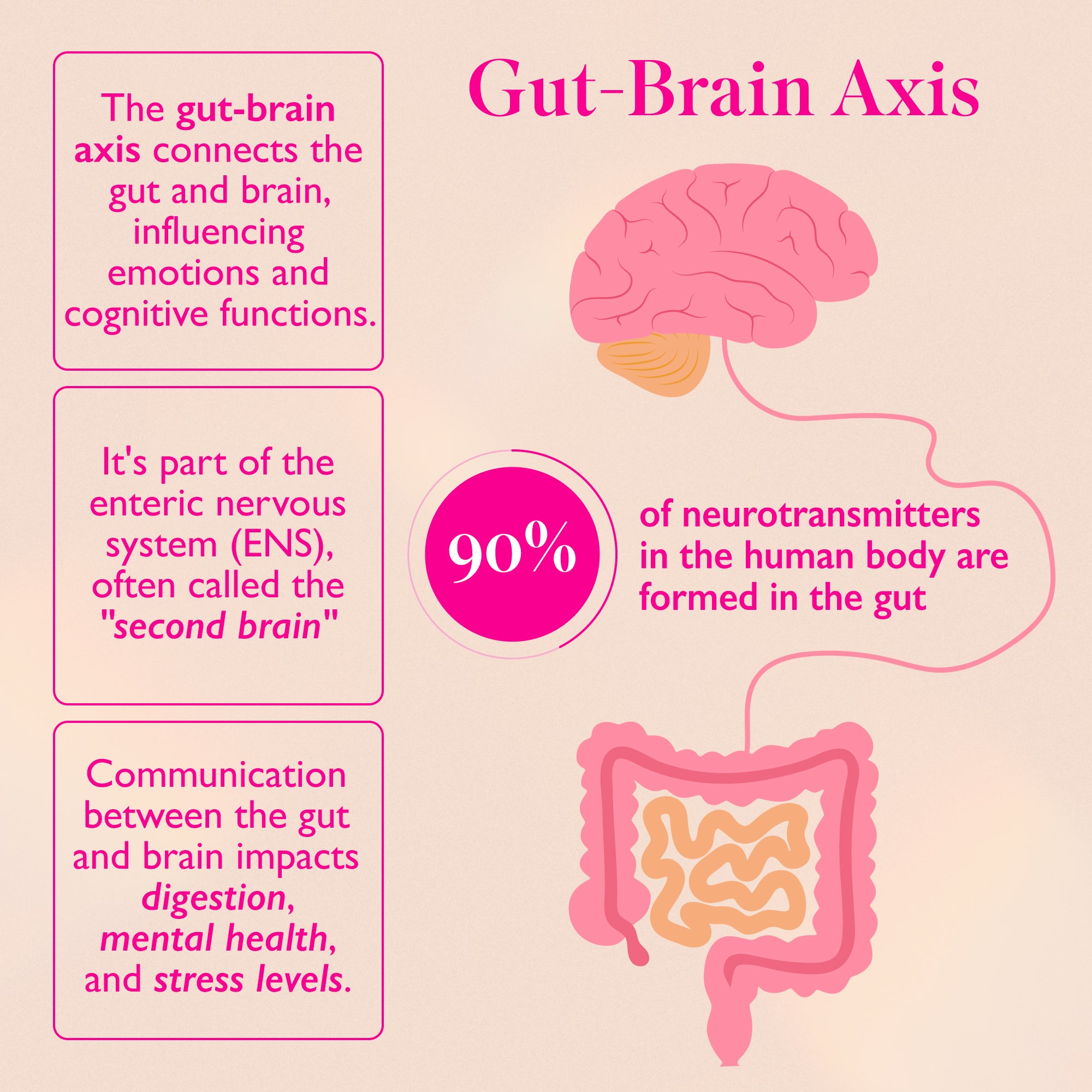 Graphic showing the gut-brain axis. 90% of neurotransmitters in the human body are formed in the gut.